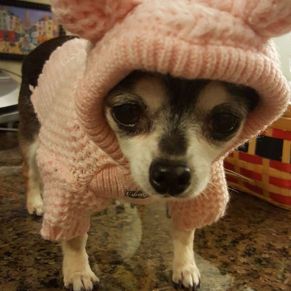 Meet your Posher, Rachel - Picture 1 of 1